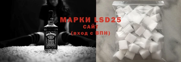 индика Бугульма