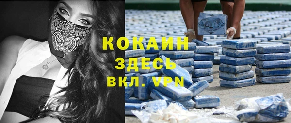 индика Бугульма