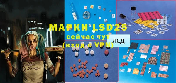 индика Бугульма